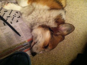 Crosswords are exhausting