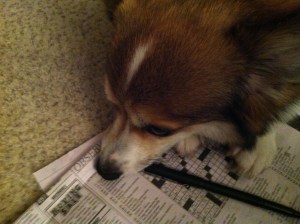 I love crossword puzzles