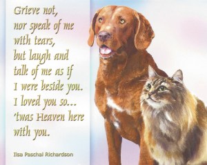 Dr Lawrence and staff card page 1