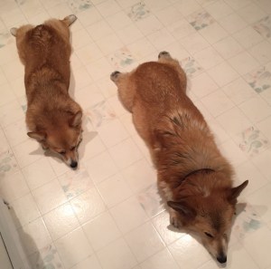 Two running hot and straight