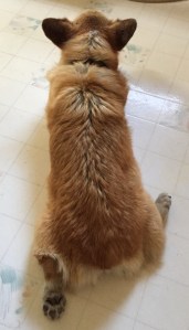 Full right rudder...